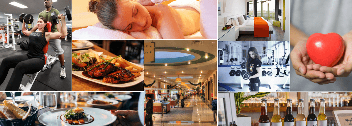 shahrukh khan videos